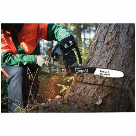 Pack SCHEPPACH Affuteuse De Chaîne - 220 W - KS1200 - Tronçonneuse Thermique ProCut - 25 Cm - 700 W - CSP2540 4 Pack SCHEPPACH Affuteuse De Chaîne - 220 W - KS1200 - Tronçonneuse Thermique ProCut - 25 Cm - 700 W - CSP2540 – Image 2