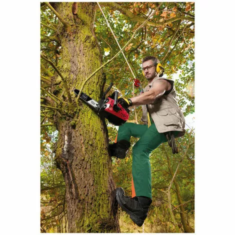 Pack SCHEPPACH Affuteuse De Chaîne - 220 W - KS1200 - Tronçonneuse Thermique ProCut - 25 Cm - 700 W - CSP2540 6 Pack SCHEPPACH Affuteuse De Chaîne - 220 W - KS1200 - Tronçonneuse Thermique ProCut - 25 Cm - 700 W - CSP2540 – Image 4